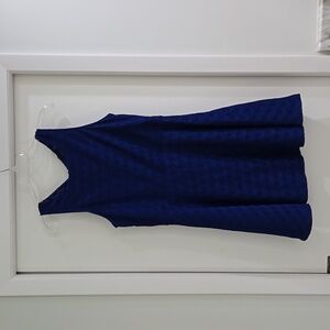 Blue Devlin sleeveless dress